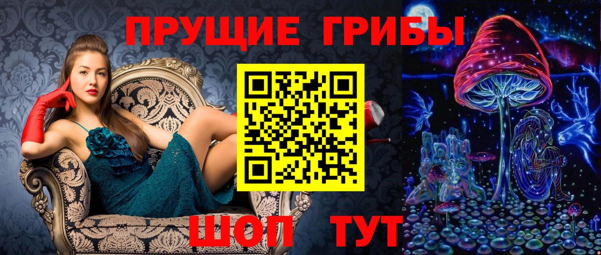 где купить наркоту  Псилоцибиновые грибы Cubensis  Вход с VPN  Люберцы 