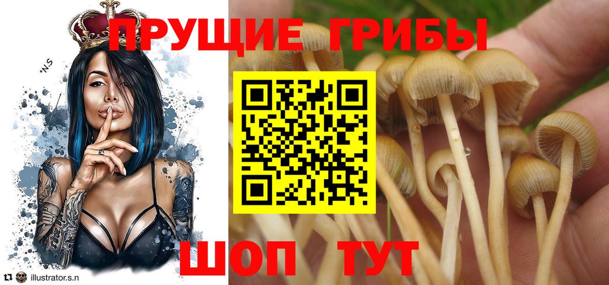 Меф МЯУ МЯУ   Героин  APVP СК   Cocaine  Гашиш  Вход с VPN  Люберцы  Каннабис  Лсд 25 